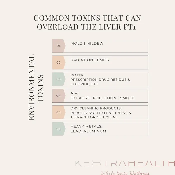 Cover for The Hidden Burden (Part 1): Environmental Toxins That Can Overload Your Liver